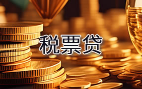 桂林税票贷